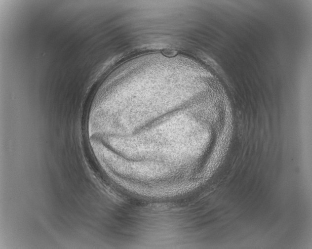 X0000063450482200602171902