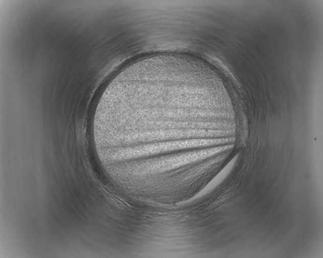 X0000063450483200602171902