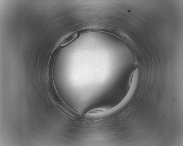 X0000063450484200602171902