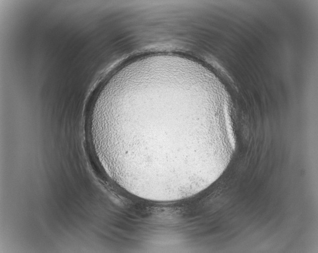 X0000063450486200602171902