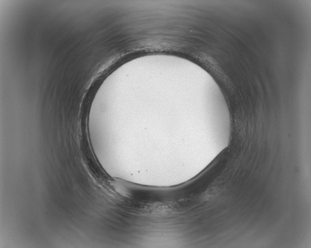 X0000063450488200602171902