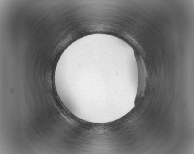 X0000063450489200602171902