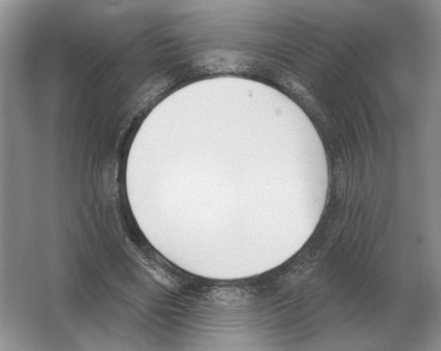 X0000063450490200602171902