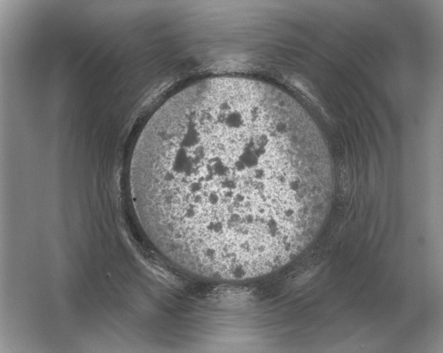 X0000063450491200602171902