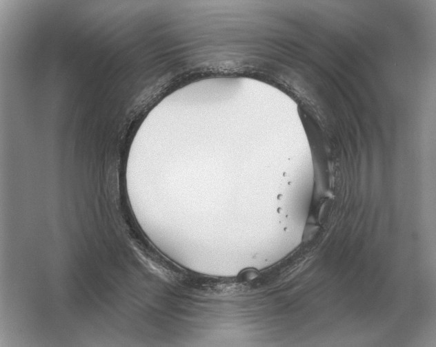 X0000063450493200602171902