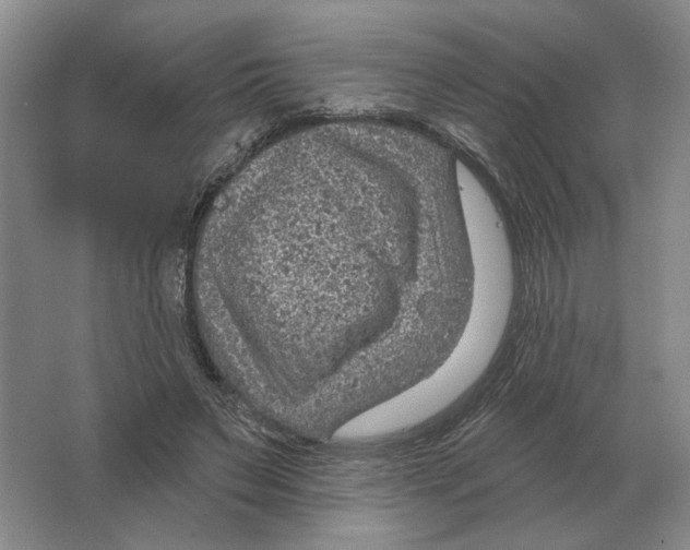 X0000063450495200602171902