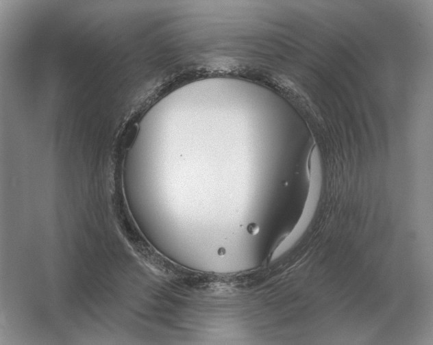 X0000063450496200602171902