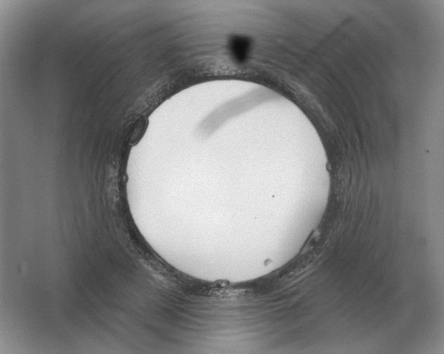 X0000063450497200602171902