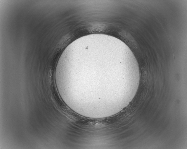 X0000063450498200602171902