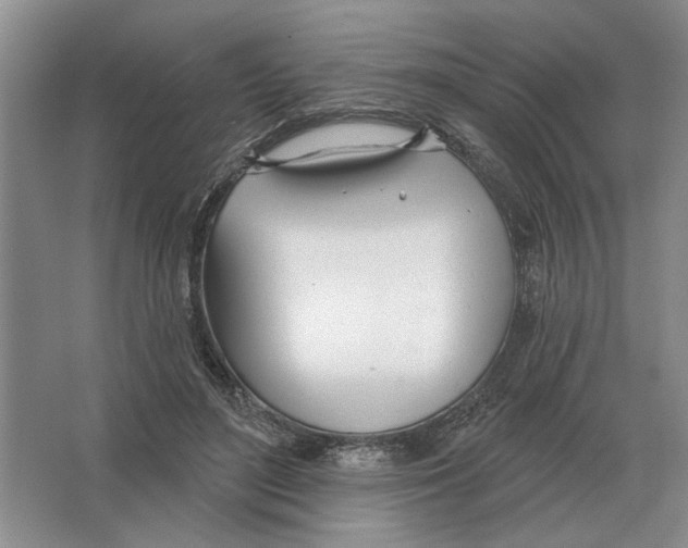 X0000063450500200602171902