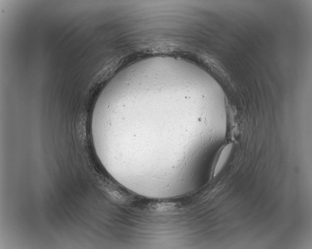 X0000063450501200602171902