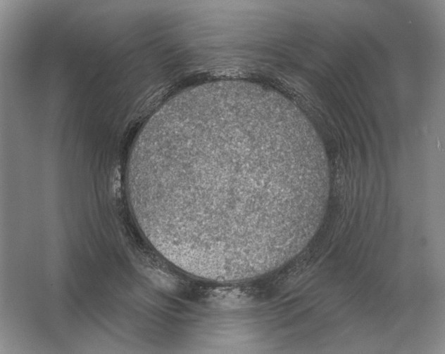 X0000063450502200602171902