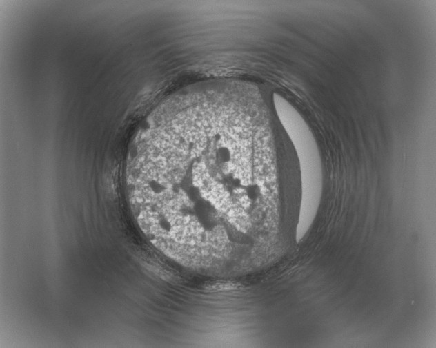 X0000063450503200602171902