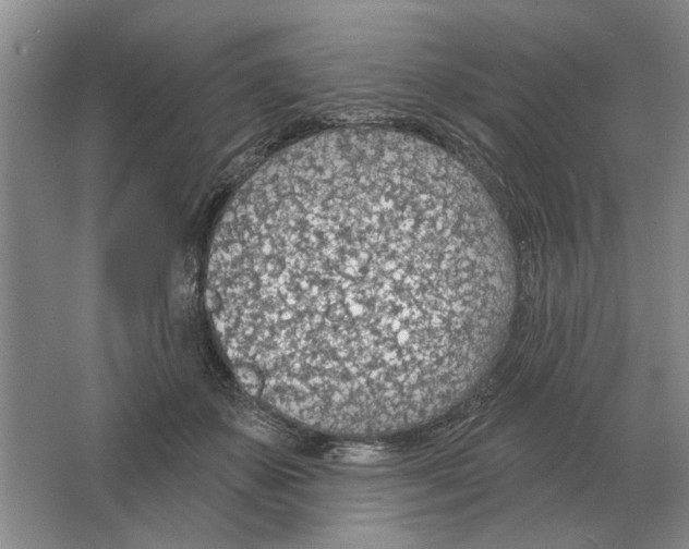 X0000063450507200602171902