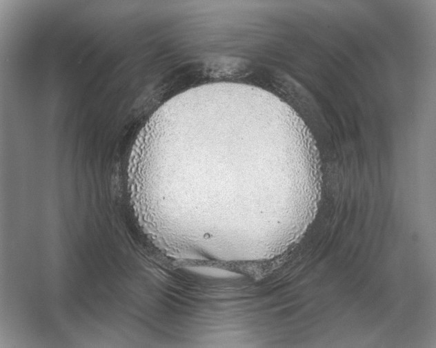 X0000063450510200602171902