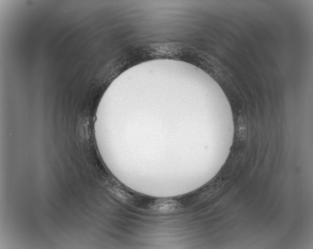 X0000063450514200602171902