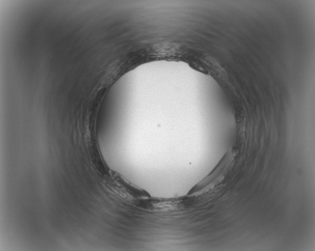 X0000063450516200602171902