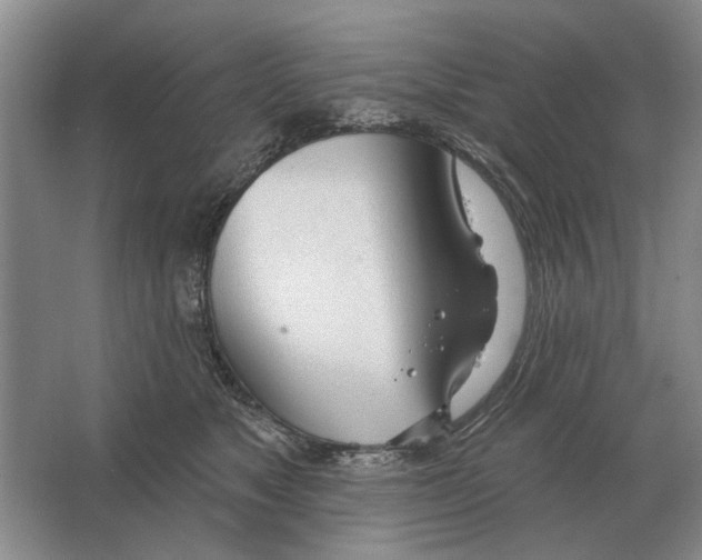 X0000063450517200602171902