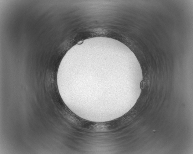 X0000063450518200602171902