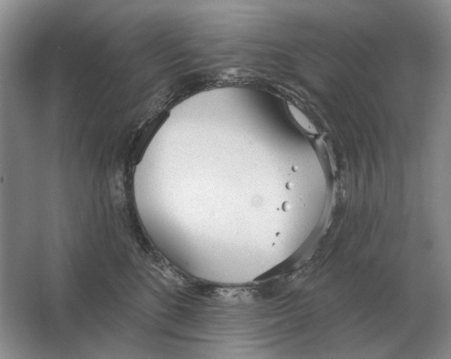 X0000063450520200602171901