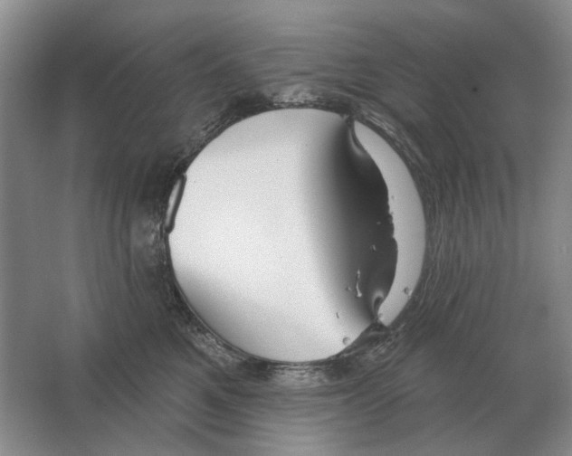 X0000063450521200602171901