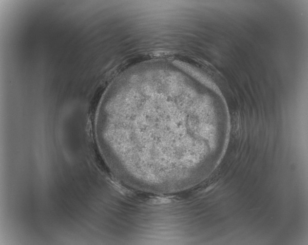 X0000063450523200602171901