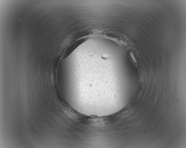 X0000063450524200602171901