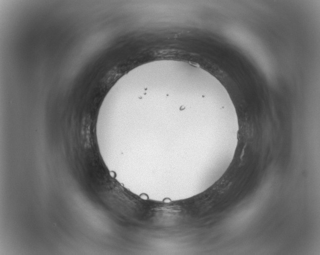 X0000063450525200602171901