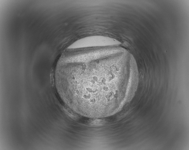 X0000063450527200602171901