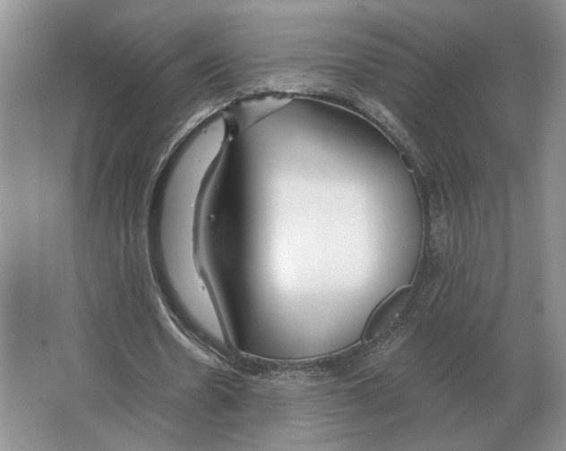 X0000063450530200602171901