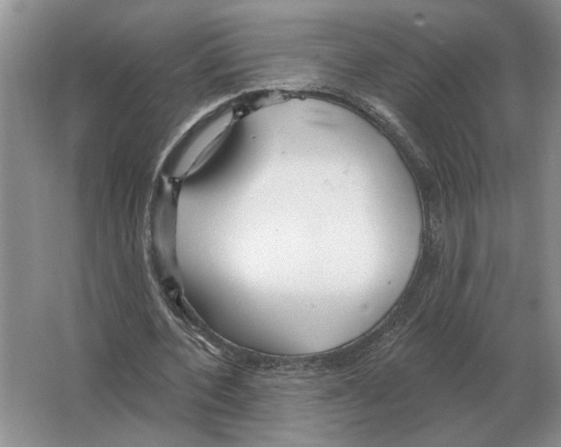 X0000063450532200602171901