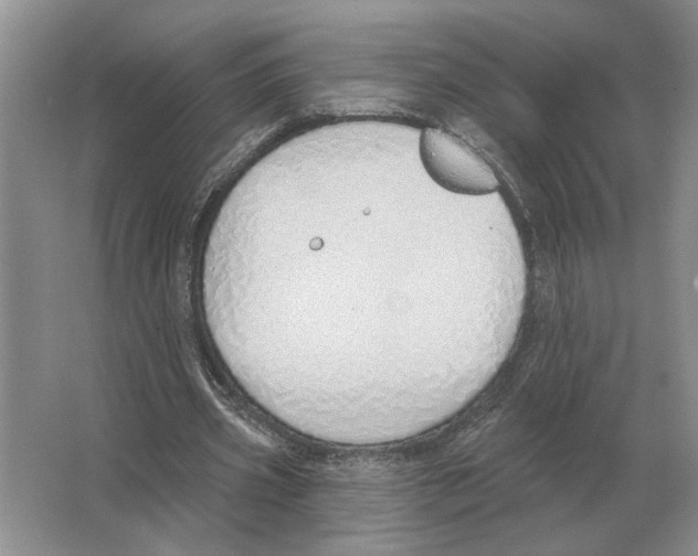 X0000063450533200602171901