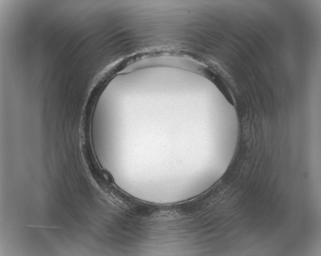 X0000063450536200602171901