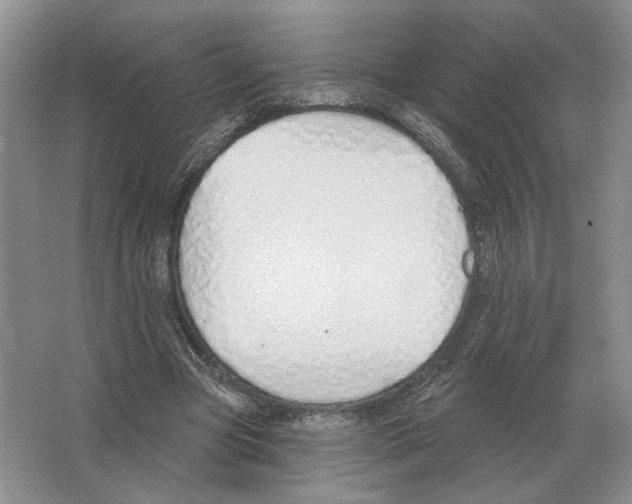 X0000063450537200602171901