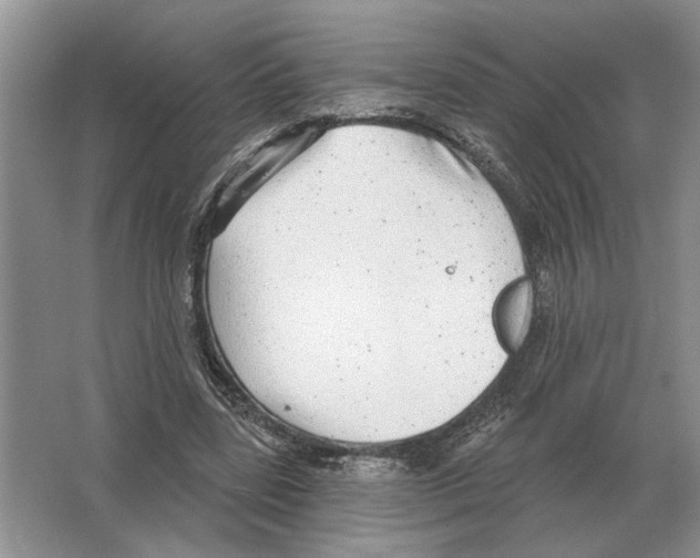 X0000063450539200602171901