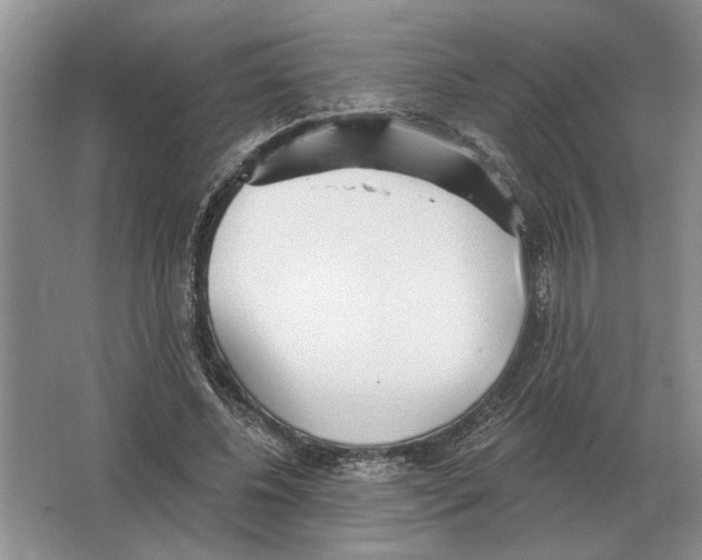 X0000063450540200602171901