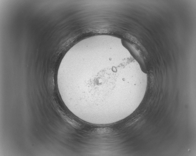 X0000063450541200602171901