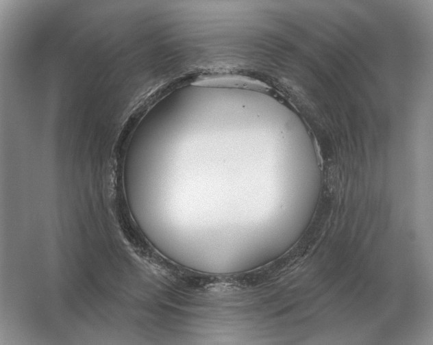 X0000063450544200602171901