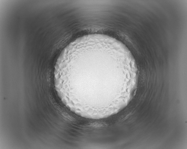 X0000063450545200602171901