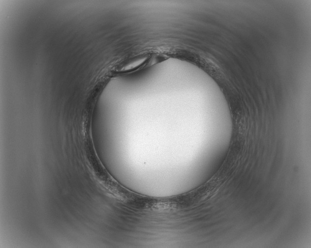 X0000063450546200602171901