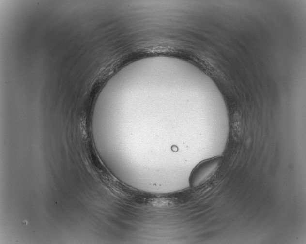 X0000063450547200602171901