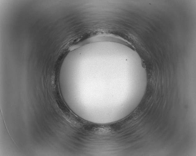 X0000063450548200602171901