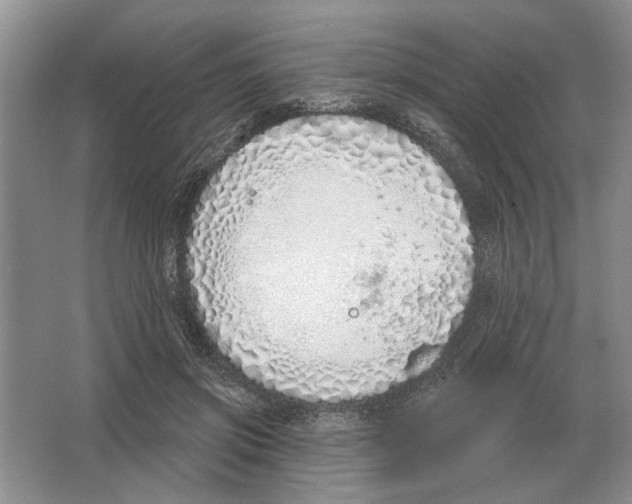 X0000063450549200602171901