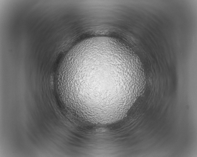 X0000063450551200602171901