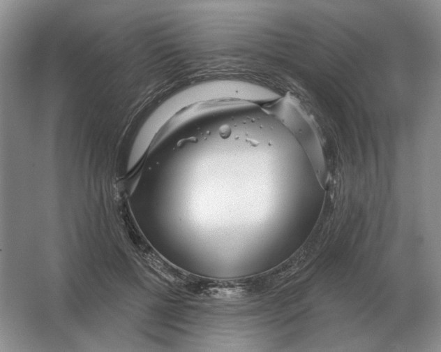 X0000063450552200602171901