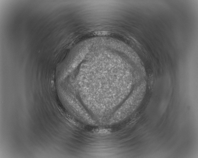 X0000063450553200602171901