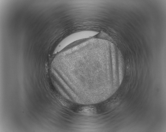 X0000063450555200602171901