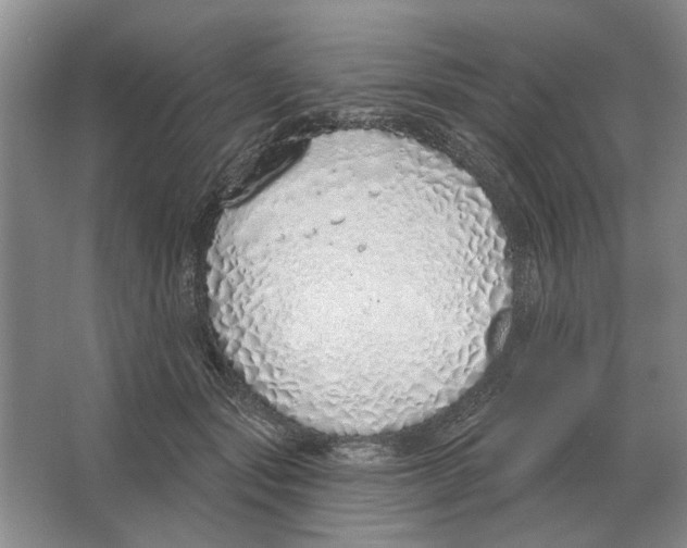 X0000063450557200602171901