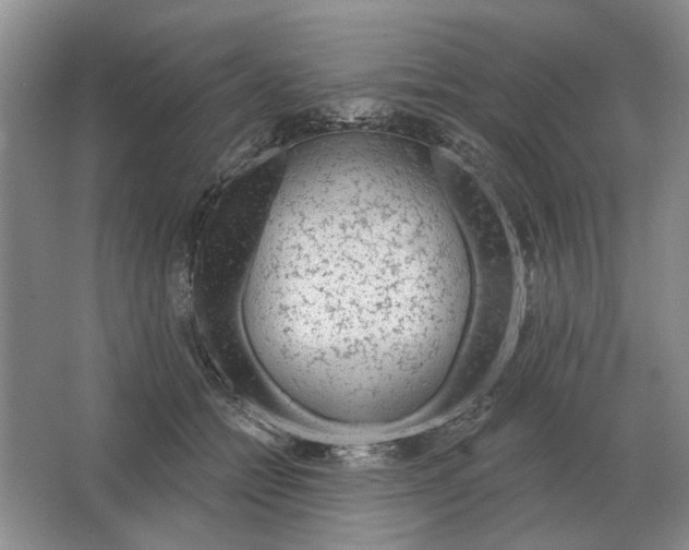 X0000063450558200602171901