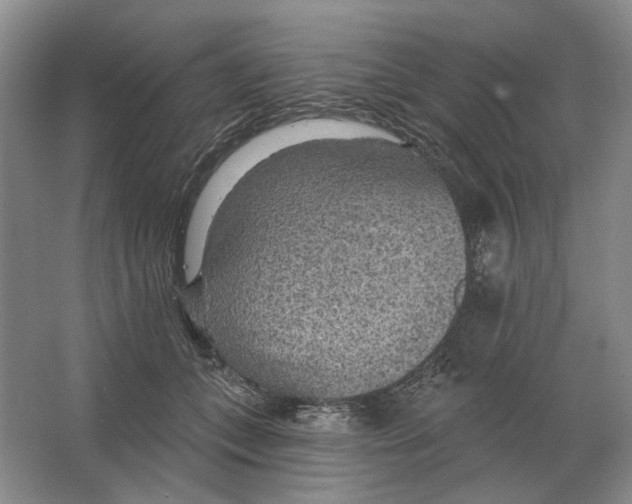 X0000063450559200602171901